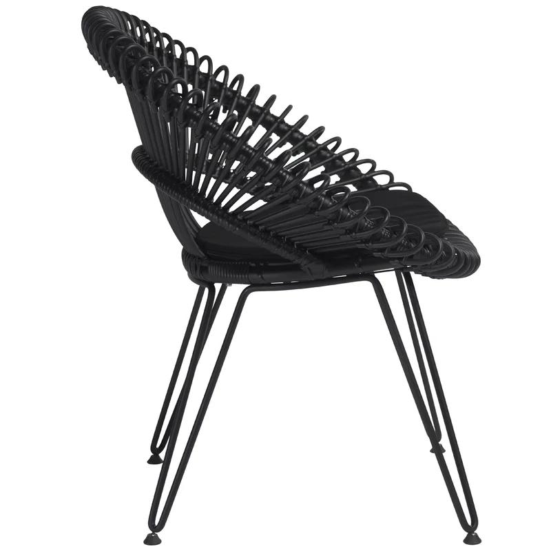 Black Aluminum Papasan Chair with Sunbrella Cushion