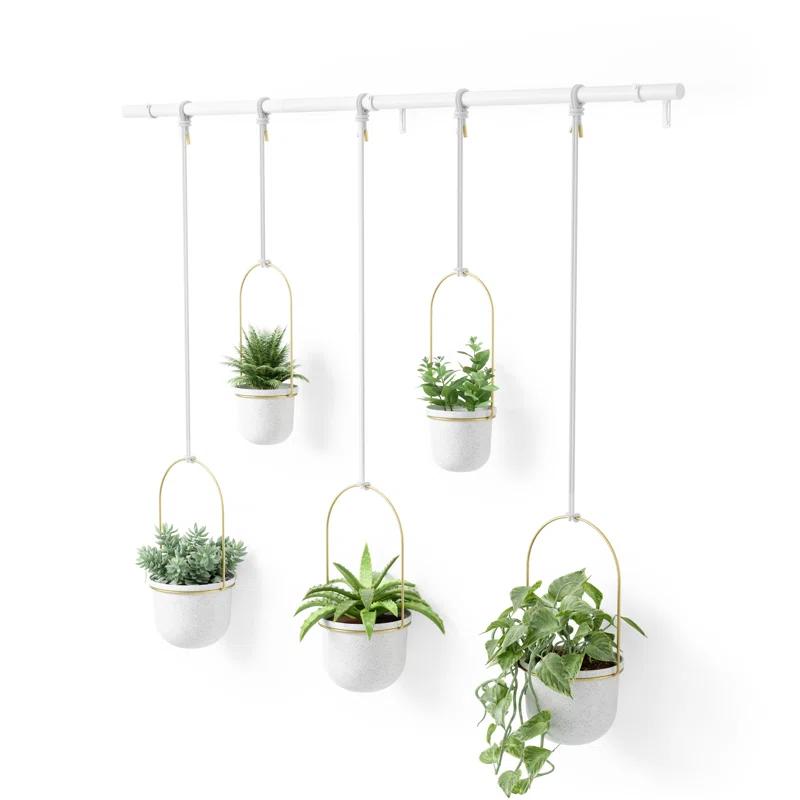 Triflora Adjustable White/Brass Indoor/Outdoor Hanging Planter