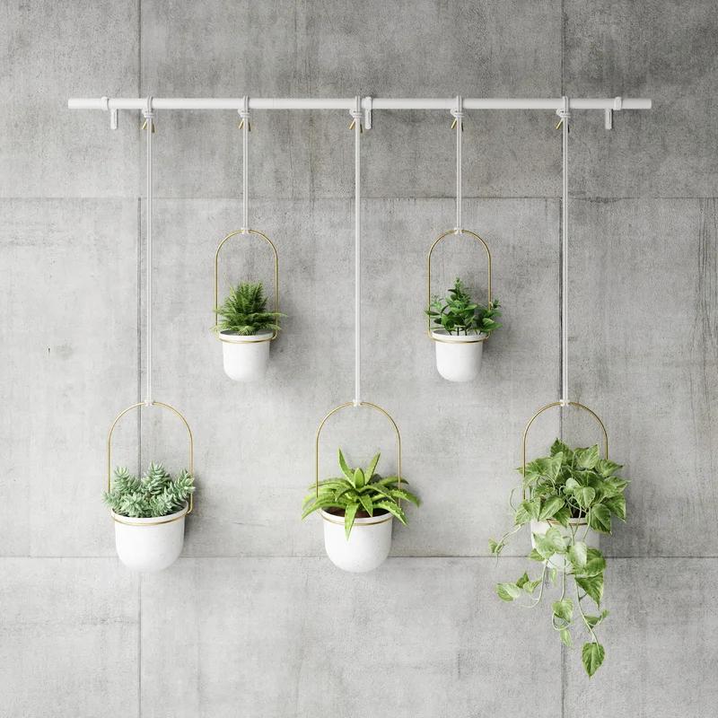 Triflora Adjustable White/Brass Indoor/Outdoor Hanging Planter