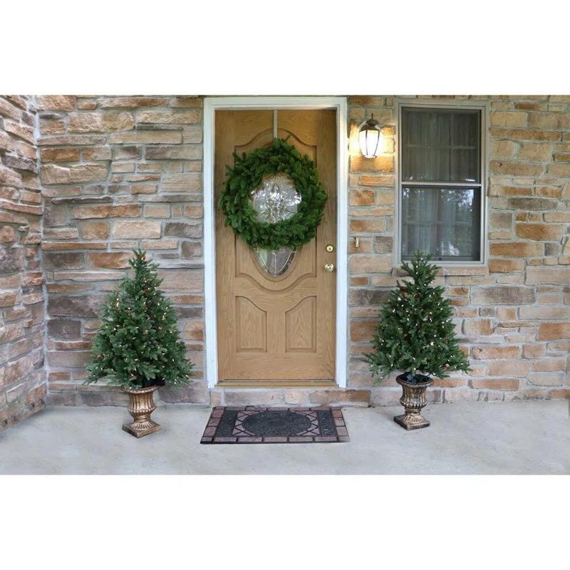 Carmel Pine 4' Lighted Fir Christmas Tree (Set of 2)