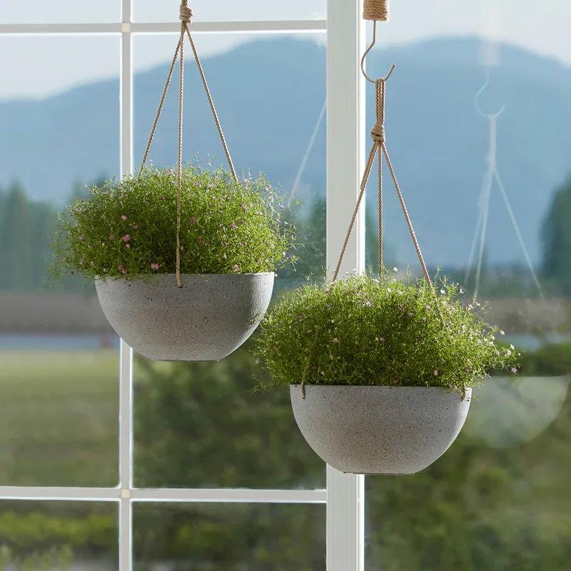 Boxdale Hanging Planter - Set of 2 (Set of 2)