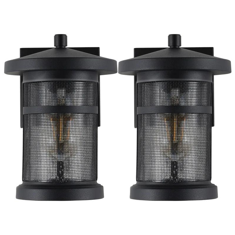 Osprey Iron Wall Light