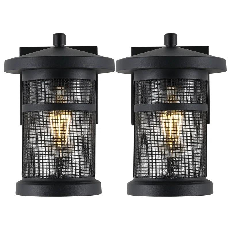 Osprey Iron Wall Light