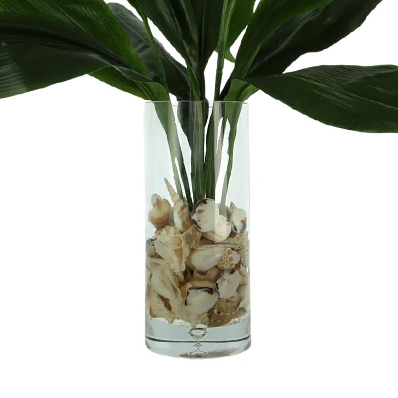 Green Faux Aspidistra Plant in Clear Glass Vase with Shells