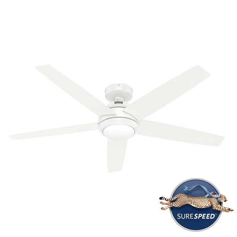 52" Zayden 5 - Blade Ceiling Fan With Lights and Remote
