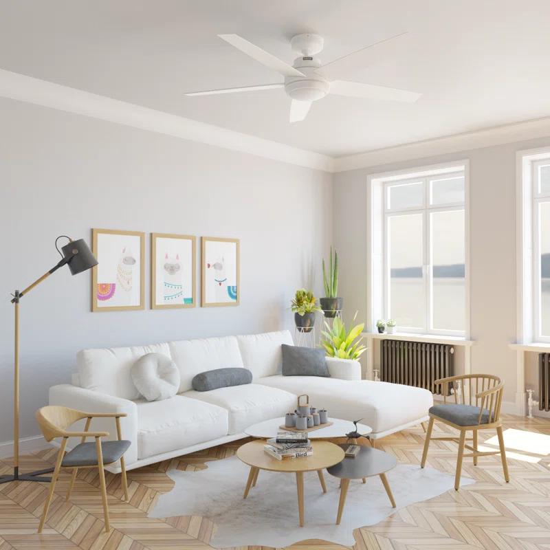 52" Zayden 5 - Blade Ceiling Fan With Lights and Remote