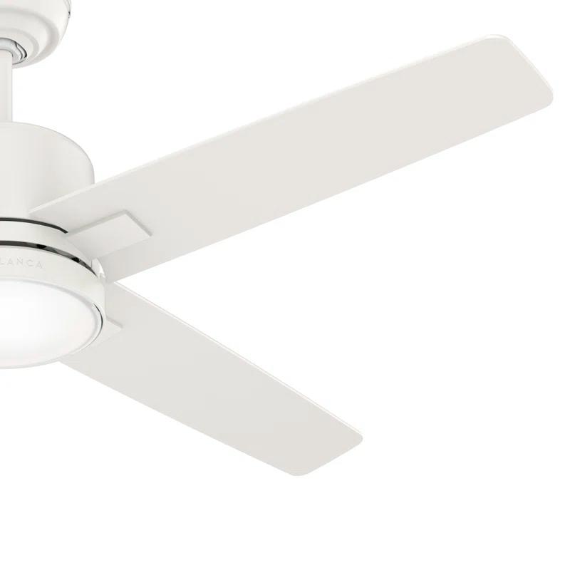 52" Zayden 5 - Blade Ceiling Fan With Lights and Remote