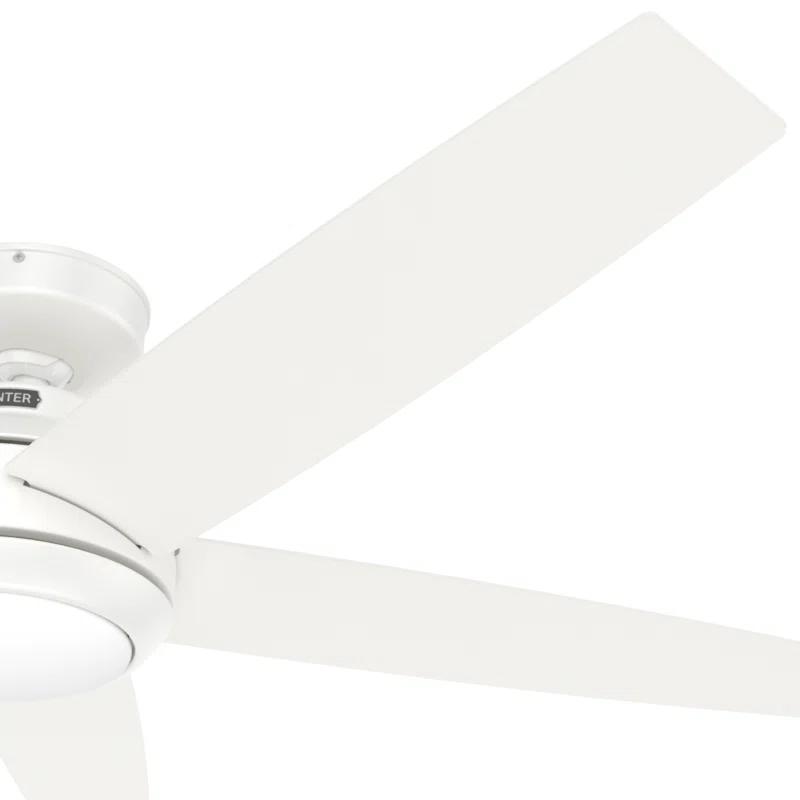 52" Zayden 5 - Blade Ceiling Fan With Lights and Remote