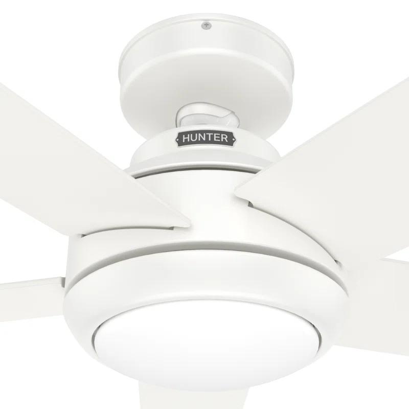 52" Zayden 5 - Blade Ceiling Fan With Lights and Remote