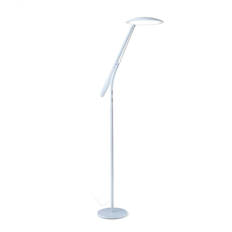 Adjustable Mist LED Floor Lamp with Warm to Cool White Light