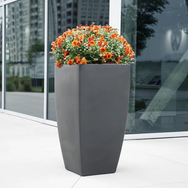 Mayne Inc. Vernamae  Resin Pot Planter With Water Reservoir
