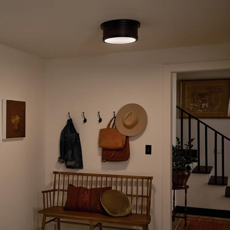 Everly Quinn Zhazira Flush Mount