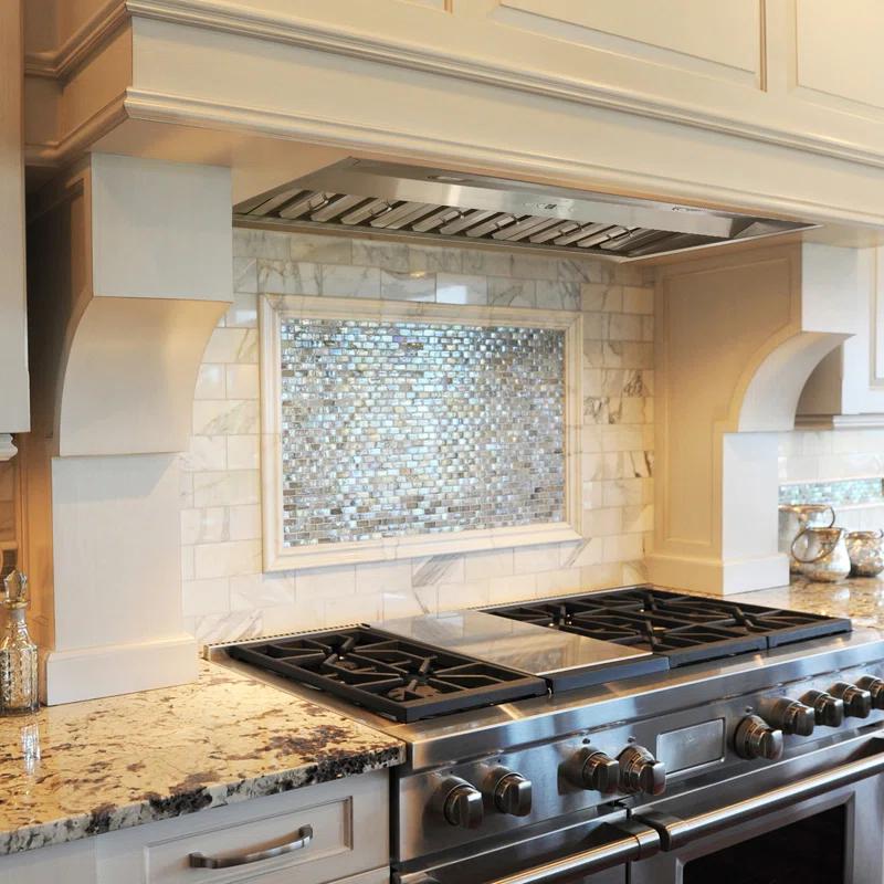 Akicon Stainless Steel 600 CFM Ducted (Vented) Insert Range Hood with Charcoal Filter