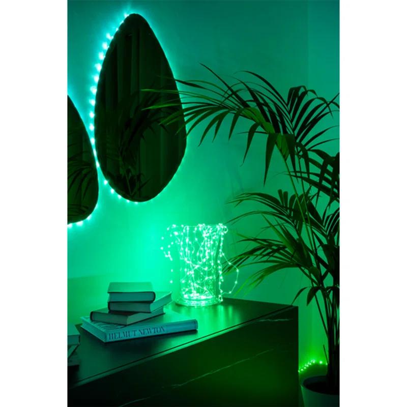 Twinkly Twinkly Smart Decoration 60 Multicolor LED App Controlled Dots Lights, Black