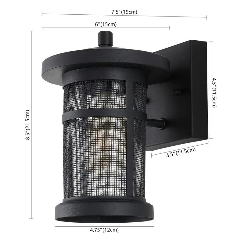 Osprey Iron Wall Light