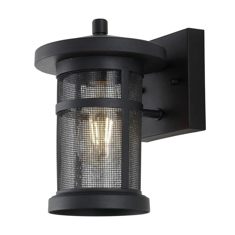 Osprey Iron Wall Light