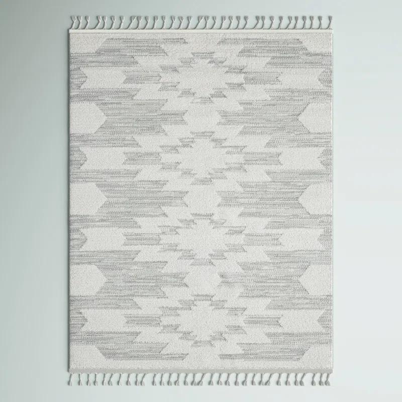 Geometric Braided Fringe 5' x 7' Gray Synthetic Area Rug