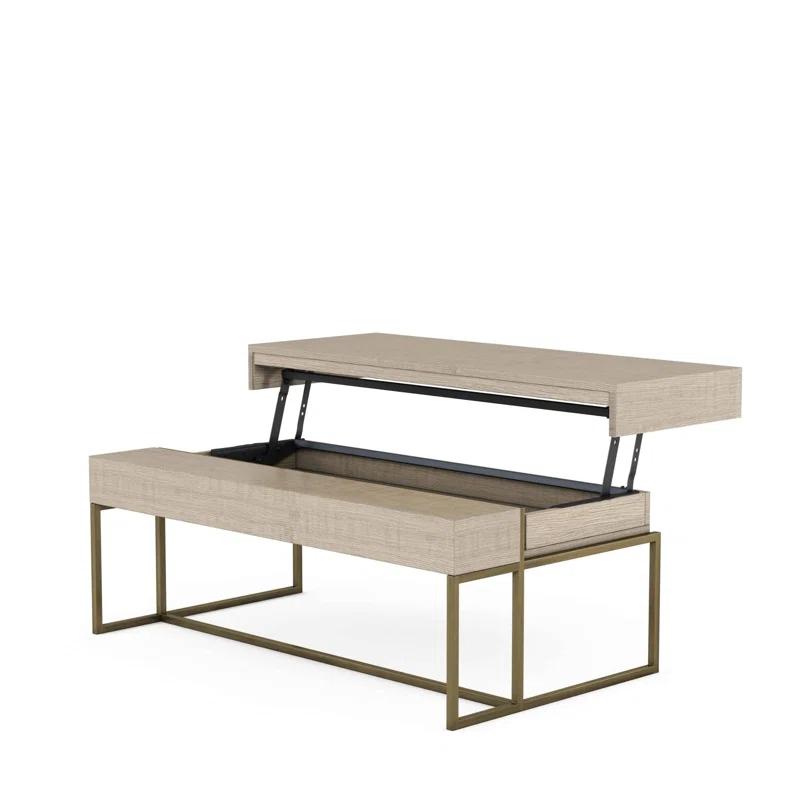 Shale Rectangular Lift-Top Coffee Table with Storage in Figured Ash & Metal