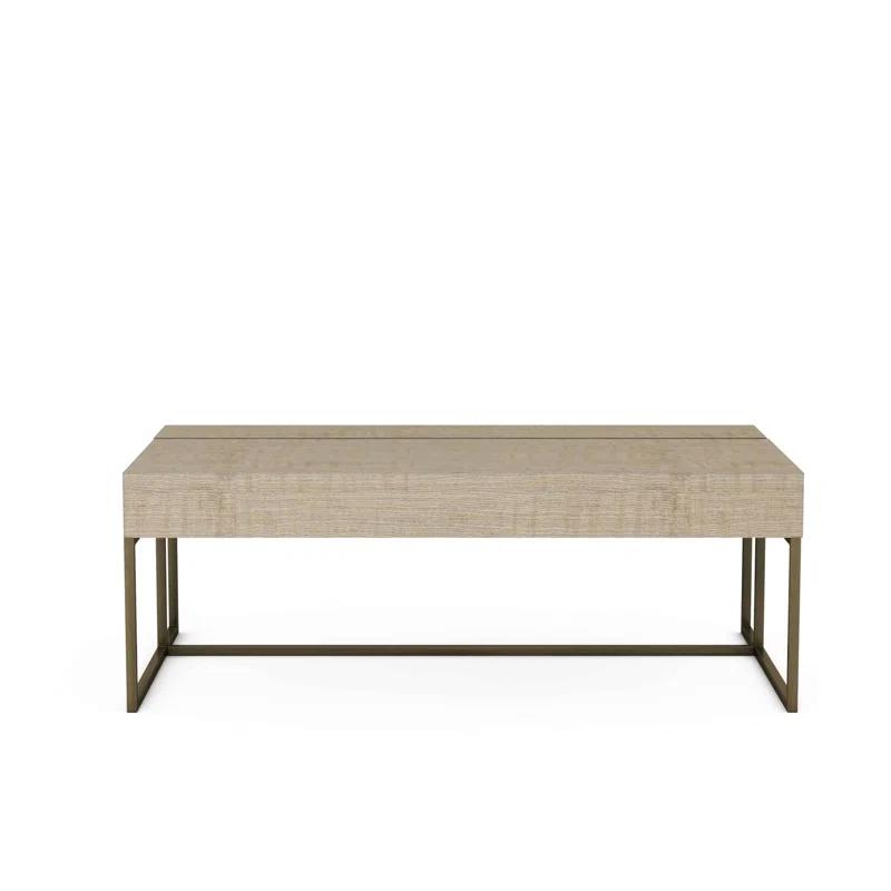 Shale Rectangular Lift-Top Coffee Table with Storage in Figured Ash & Metal