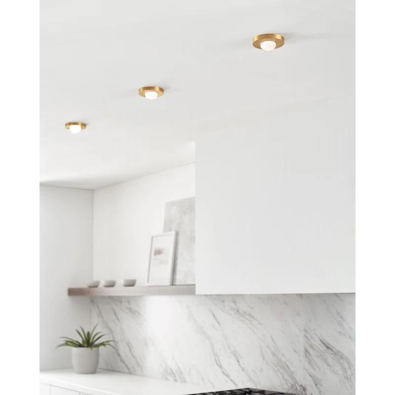 Ebell Modern LED Flush Mount in Natural Brass with Domed Glass