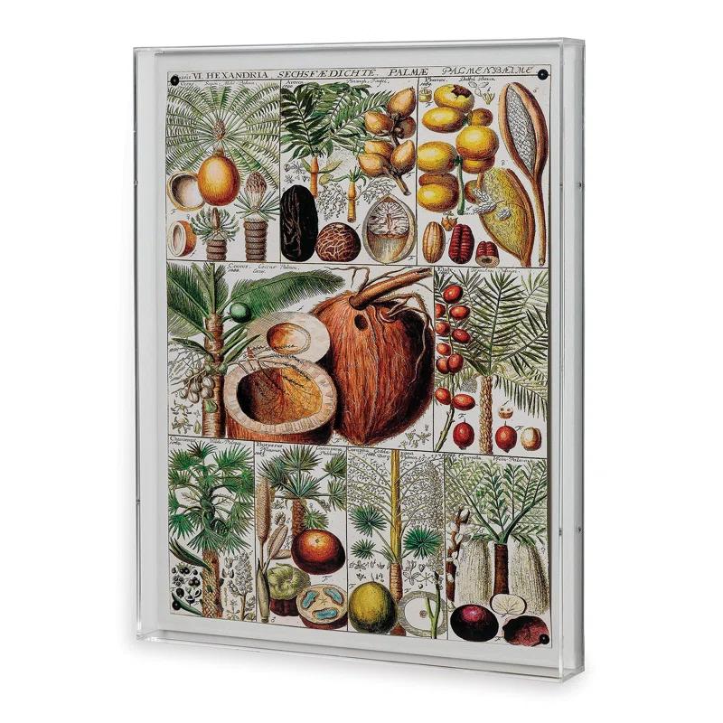 Port 68 " Palm Chart "