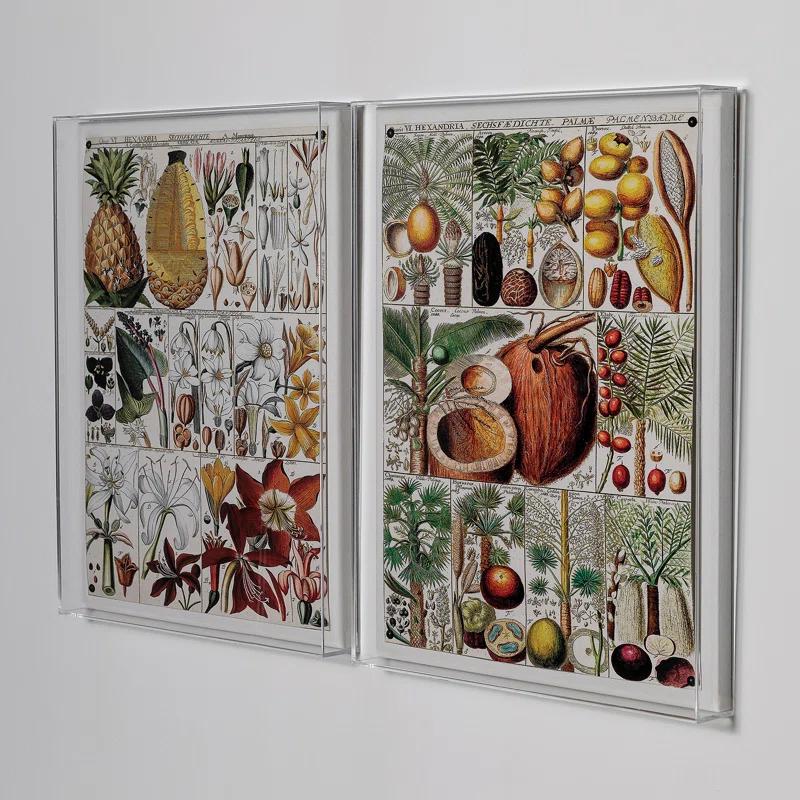 Port 68 " Palm Chart "