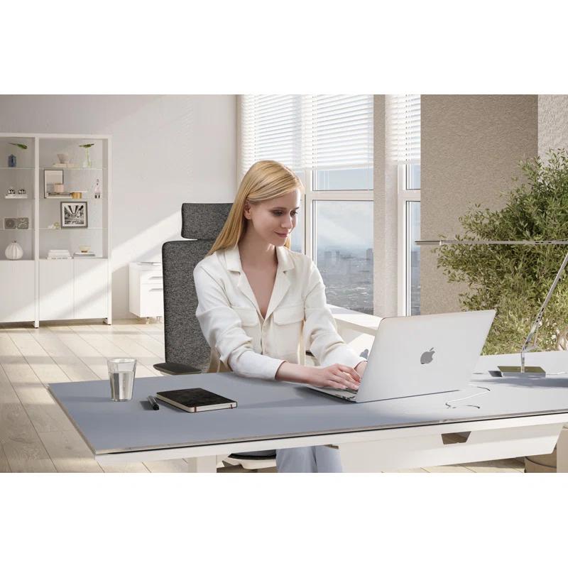 BDI Centro Height Adjustable Computer Desk