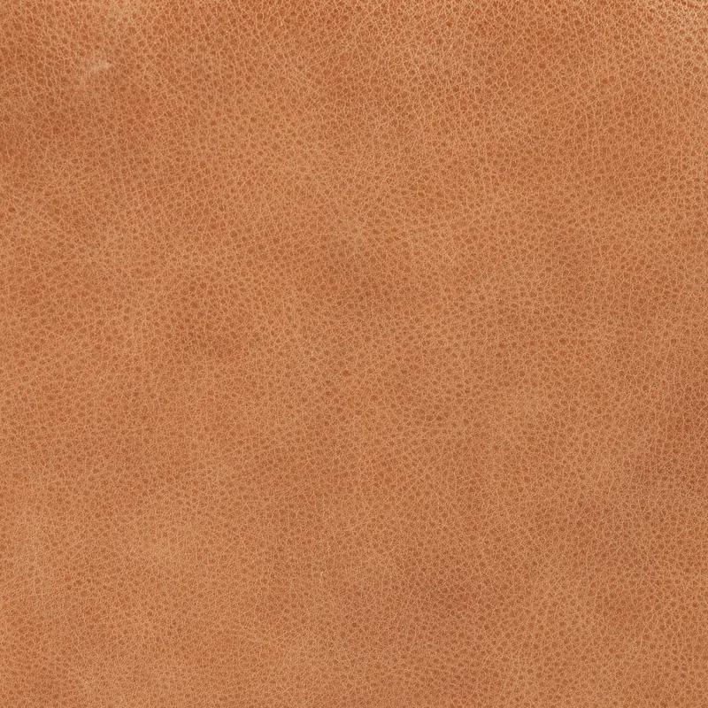 Bronwyn Almond Genuine Leather Swivel Side Chair