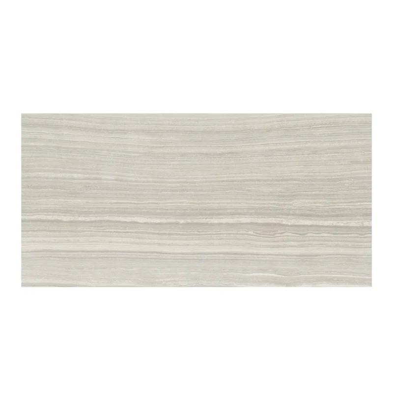 Eramosa Silver 12'' x 24'' Matte Porcelain Tile