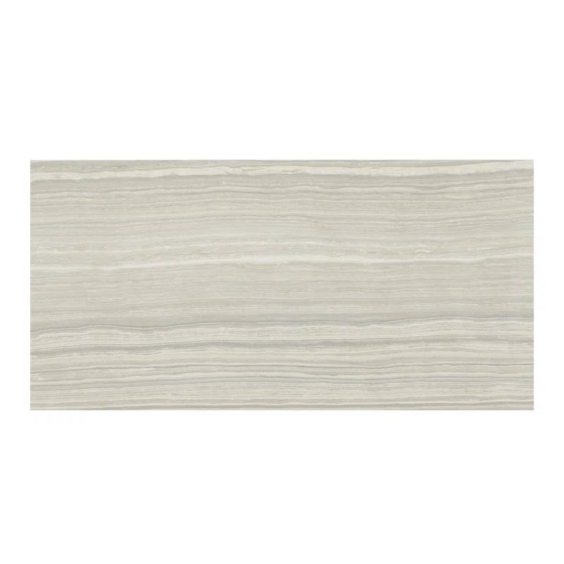 Eramosa Silver 12'' x 24'' Matte Porcelain Tile