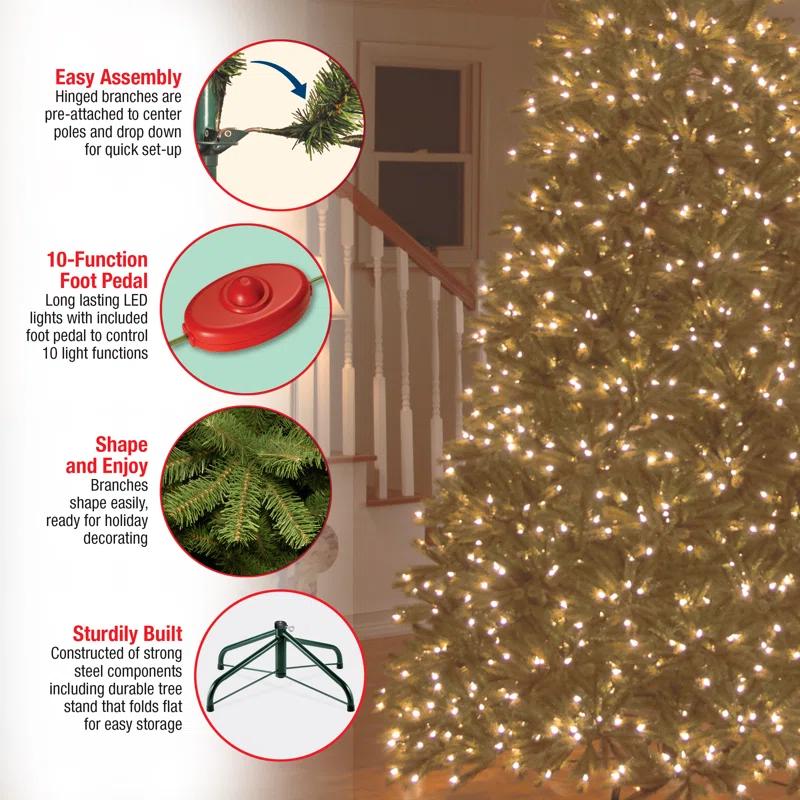 6.5' Prelit LED Medium Jersey Fraser Fir Artificial Christmas Tree Dual Color Lights - National Tree Company