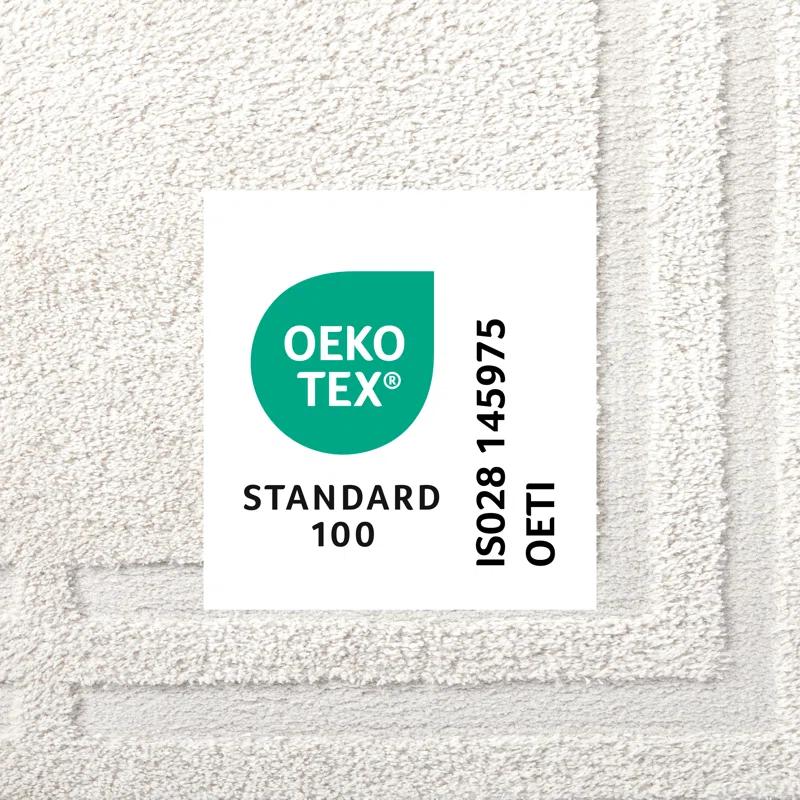 TOWN & COUNTRY EVERYDAY Cloud Shag Area Rug Beige