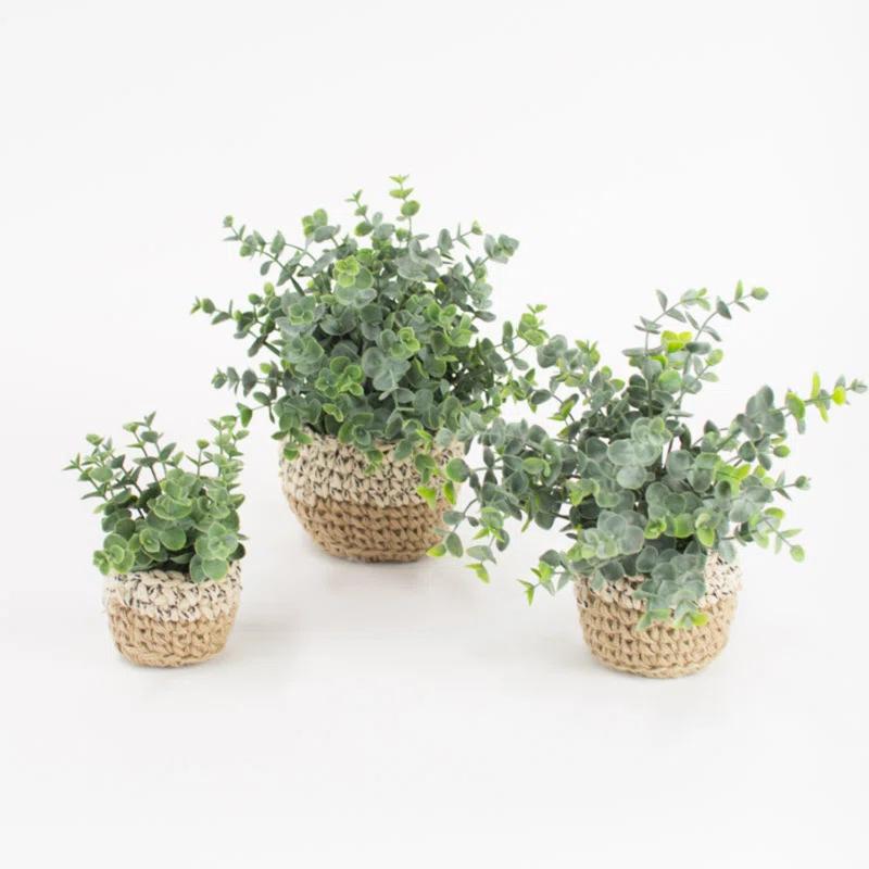 Trio of Lifelike Eucalyptus Greenery in Handwoven Pots