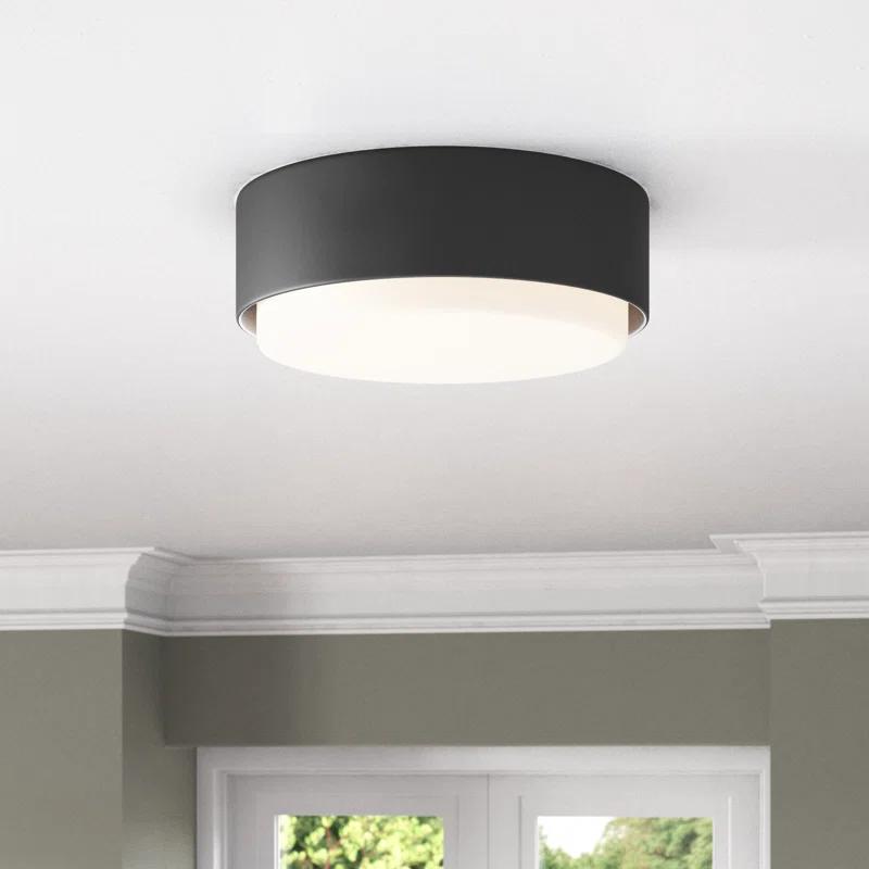 Fitzgerald Black Etched Opal Glass 2-Light Modern Flush Mount