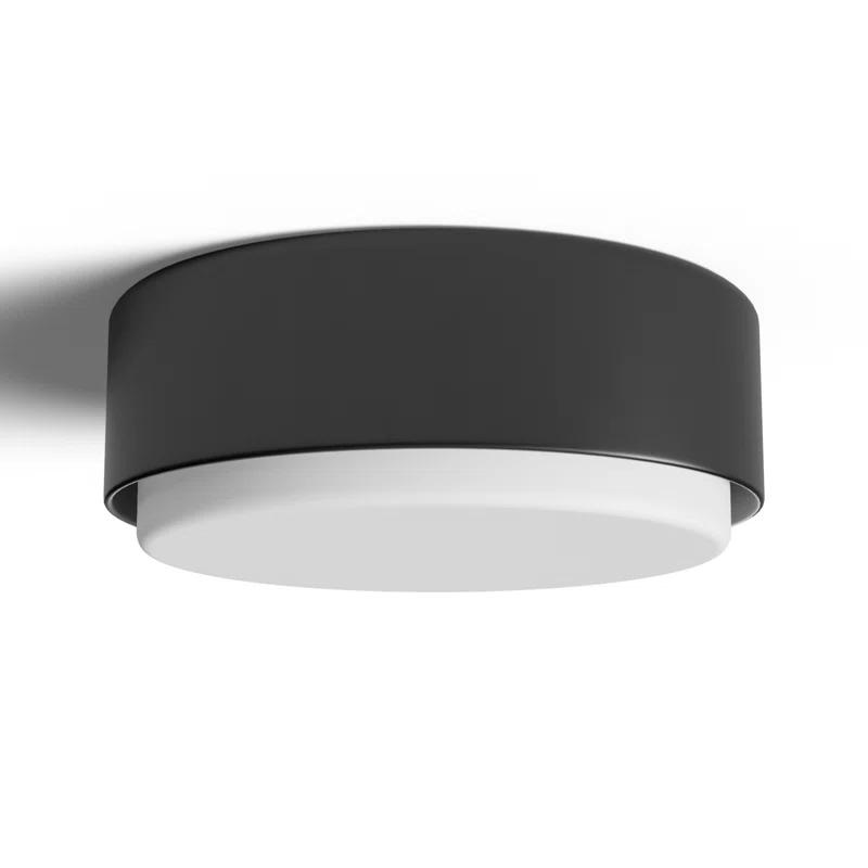 Fitzgerald Black Etched Opal Glass 2-Light Modern Flush Mount