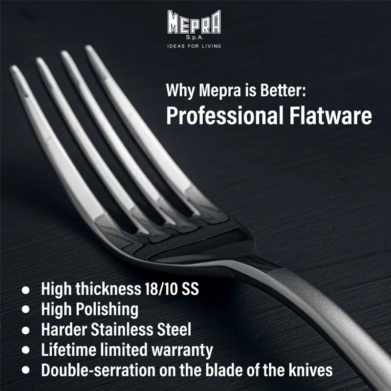 Atena 20-Piece Mirror Finish Stainless Steel Flatware Set