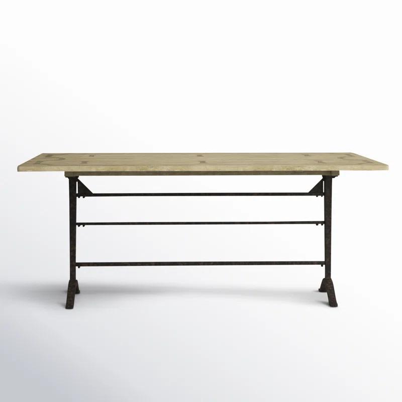 Darla Vintage Industrial Iron & Wood Console Desk/Table