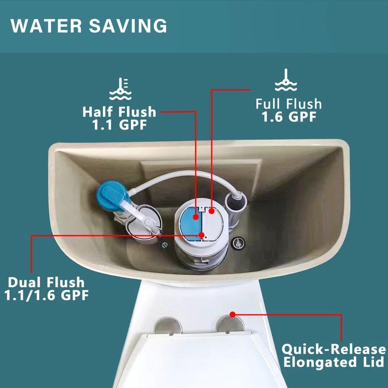 19 in. 2-Piece Toilet 1.1/1.6 GPF Dual Flush Round White Toilet ADA Height with Soft-Close Seat