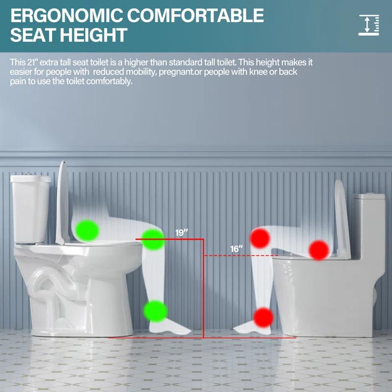 19 in. 2-Piece Toilet 1.1/1.6 GPF Dual Flush Round White Toilet ADA Height with Soft-Close Seat