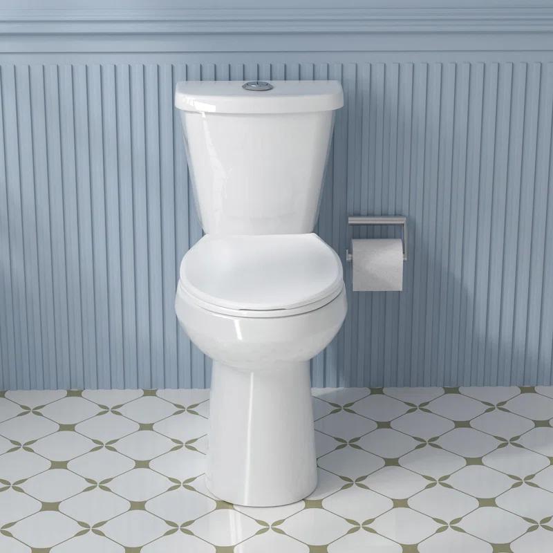 19 in. 2-Piece Toilet 1.1/1.6 GPF Dual Flush Round White Toilet ADA Height with Soft-Close Seat