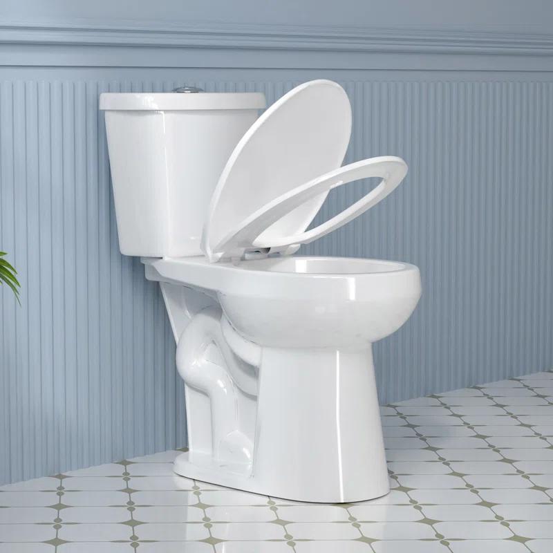 19 in. 2-Piece Toilet 1.1/1.6 GPF Dual Flush Round White Toilet ADA Height with Soft-Close Seat