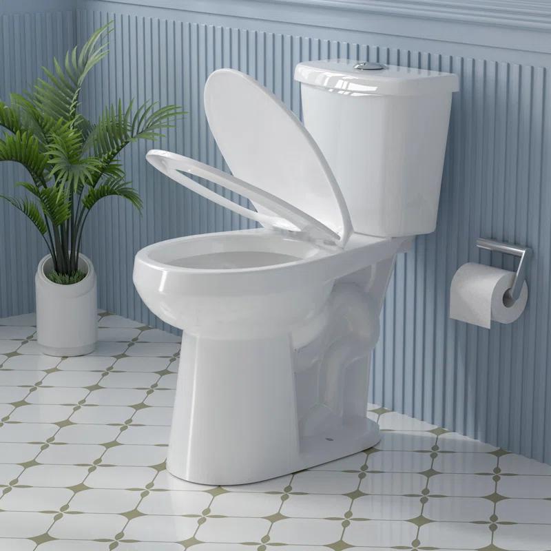 19 in. 2-Piece Toilet 1.1/1.6 GPF Dual Flush Round White Toilet ADA Height with Soft-Close Seat
