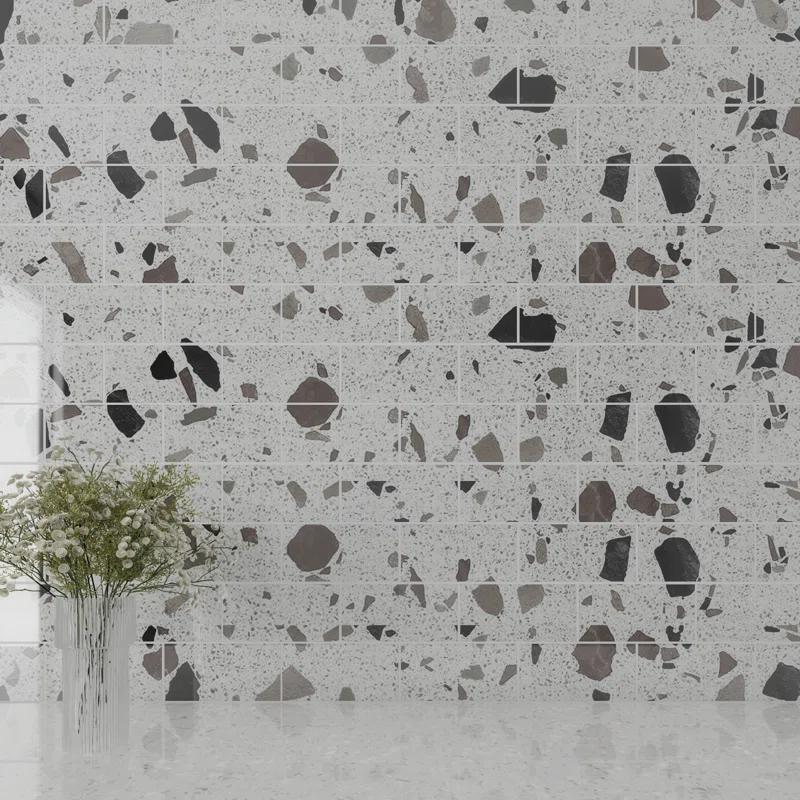 Glass Terrazzo 3'' W x 6'' L Glass Subway Singular Tile