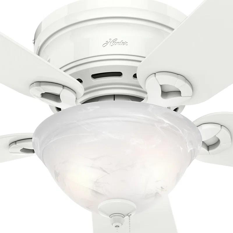42'' Conroy 5 - Blade Flush Mount Ceiling Fan with Pull Chain and Light Kit Included