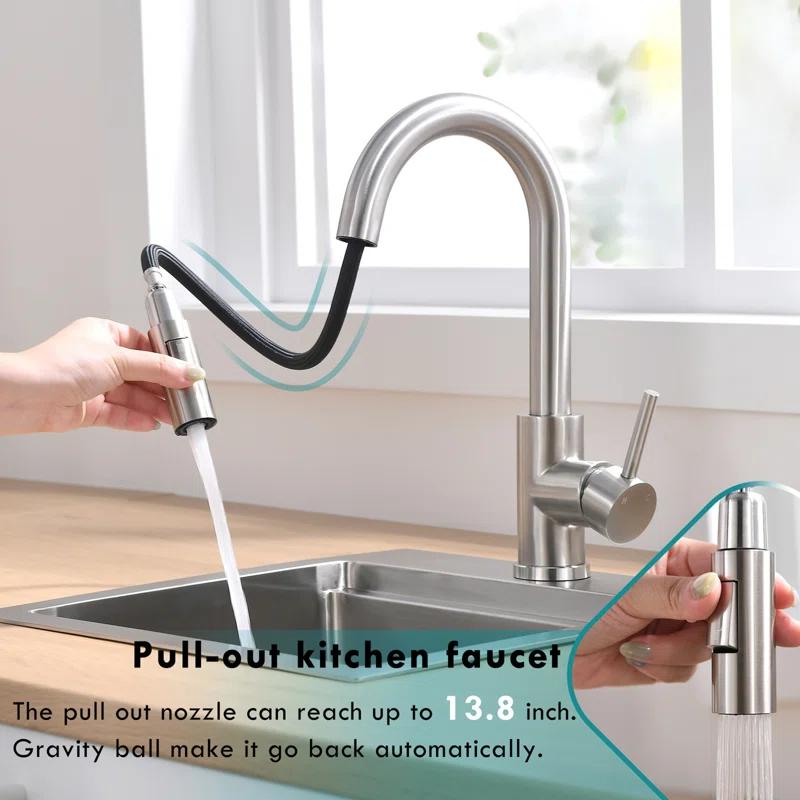 Topcraft Pull Down Kitchen Faucet
