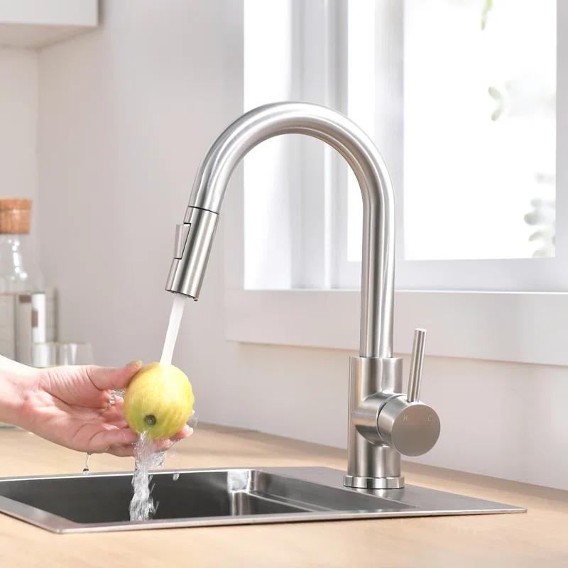 Topcraft Pull Down Kitchen Faucet