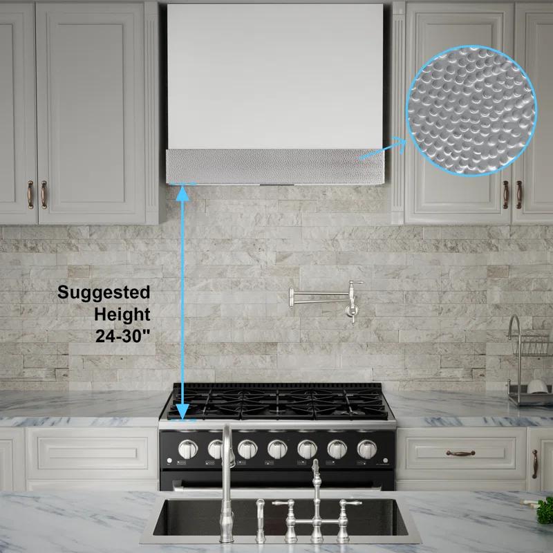 Akicon Stainless Steel 600 CFM Ducted (Vented) Wall Mounted Required Range Hood