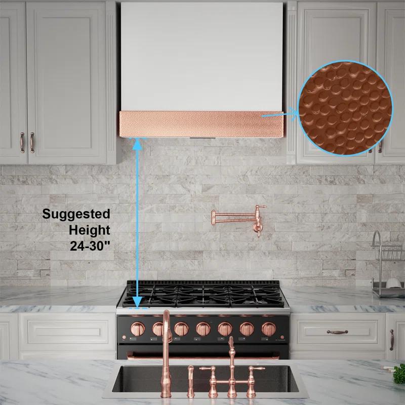 Akicon 600 CFM Ducted (Vented) Wall Mounted Required Range Hood