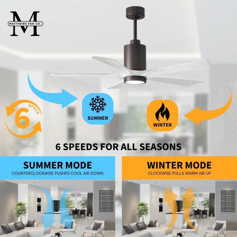 Matthews Fan Company Patricia 52'' Ceiling Fan with LED Lights