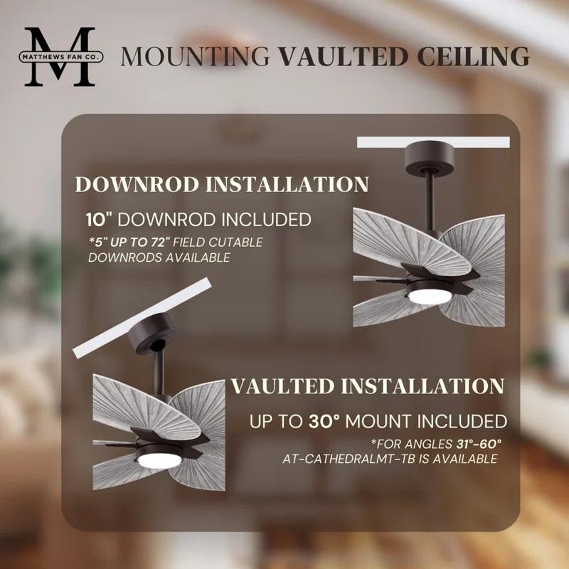 Matthews Fan Company Alessandra - Five Blade Ceiling Fan - Integrated LED